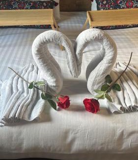 Cournon-dʼAuvergne Apartment | Le Pont des Amoureux Jacuzzi Wifi