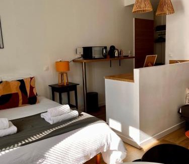 Centre-ville rive gauche Apartment | Le Quarante cinq -3