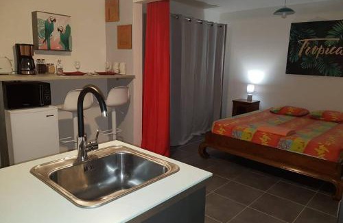 Pointe-a-Pitre Apartment | Le Repère tropical à la Marina