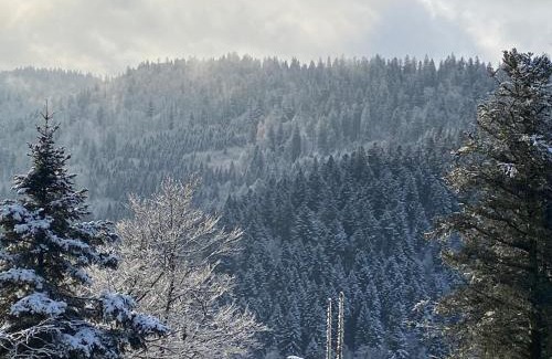 Travexin Apartment | Le souffle des sapins
