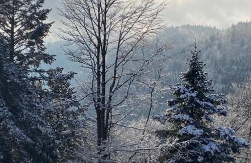 Travexin Apartment | Le souffle des sapins