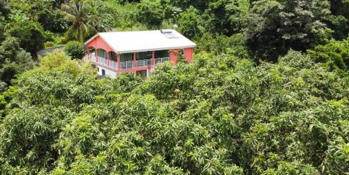 Riviere-Pilote Apartment | Le Ti-punch