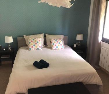 Souzay-Champigny Bed & Breakfast | Le VIEUX CHAI