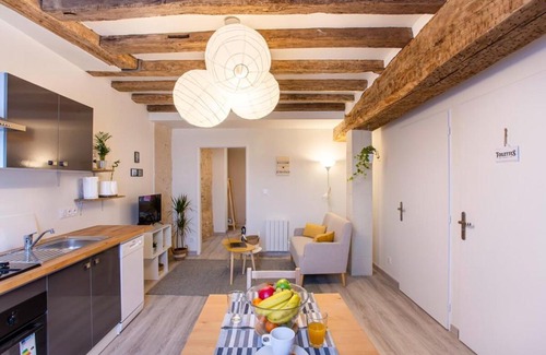 Amboise Apartment | "LE VINCI" Châteaux, Loire & Centre-ville