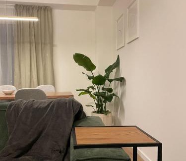 Timisoara Apartment | Leafy Haven Hideout!
