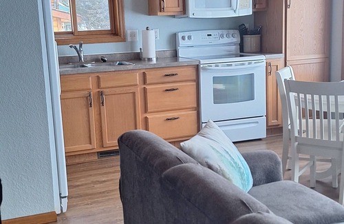 Whipholt Cabin | Leech lake cabin with gorgeous views! 2br/2ba pet friendly!