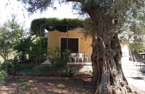 Tsoukaladhes House | Lefkas house with garden
