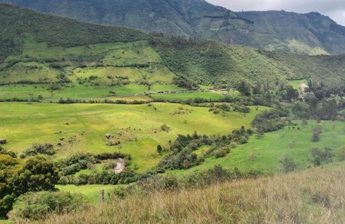 Purace House | Leguaro refugio de colibríes