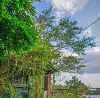 Wennappuwa Villa | Leibe Lake Holiday Villa