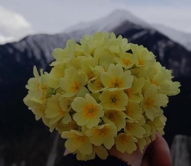 Tsvirmi House | Lela's guesthause