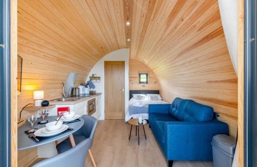 Glandyfi House | Leri - Uk46065
