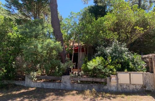 Le Canon Apartment | les cabanes