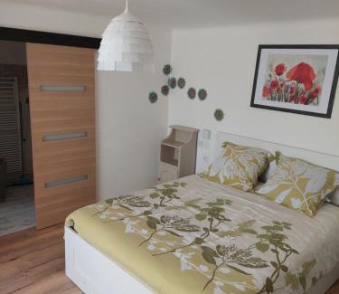 Laquenexy House | Les hirondelles