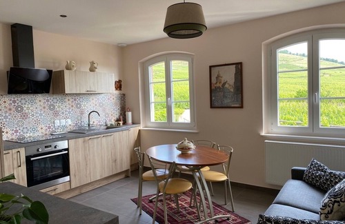 Saint-Hippolyte Apartment | LES HORTENSIAS