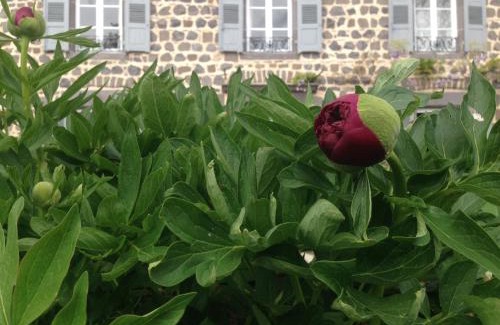 Saint-Ilpize Bed & Breakfast | Les Jardins d'Anna - Chambres d'hôtes