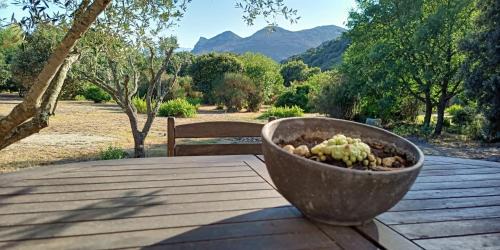 Barbaggio House | Les jardins de Foata