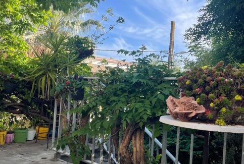 Meze Apartment | Les jardins de Veronique Marie