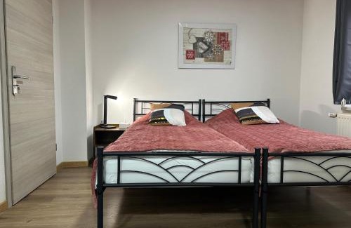 Altkirch House | Les libellules