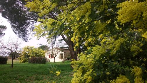 Brens House | Les Mimosas