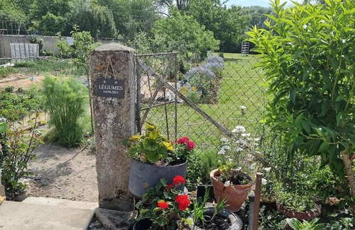 Mennetou-sur-Cher House | Les Noyers Monestois entre Cher et Canal de Berry