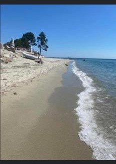 Ghisonaccia Apartment | Les pieds dans l eau de Betty Ghisonaccia plage 50 m