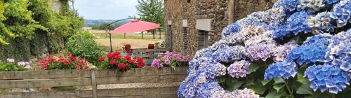Saint-Congard Bed & Breakfast | LES RÊVES BLEUS