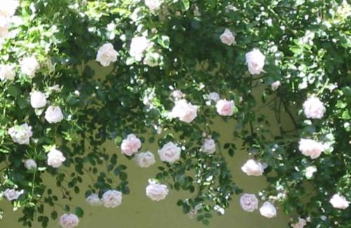 Saint-Remy Bed & Breakfast | Les Rivieres