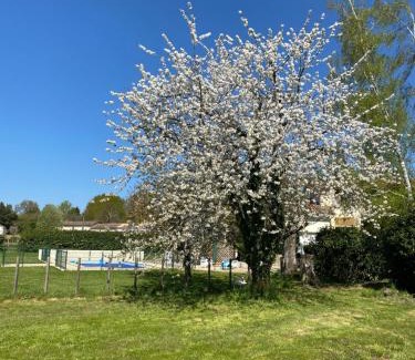 Clussais-la-Pommeraie House | Les Roseries Boutique Gite