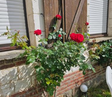 Mailly-Maillet House | Les Roses du Souvenir