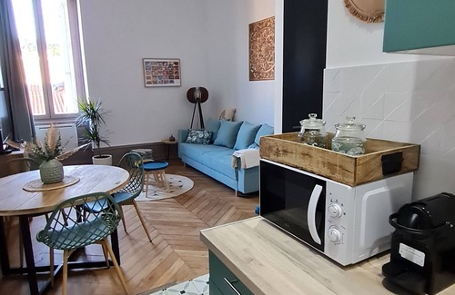 Vienne Apartment | Lescapade Bohème Charmant T3 en Hypercentre de Vienne