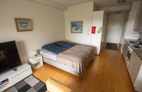 Kemi Apartment | Lil Haven Cozy Studio with Sauna, Glassed Balcony and Free Parking