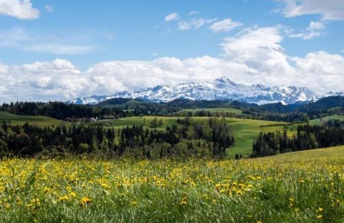 Neckertal Bed & Breakfast | LilaLila Lodge
