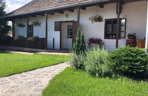 Tereny Apartment | Liliána vendégház