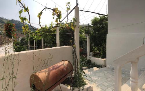 Delvine House | Lili's House