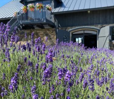 Saldus House | LillasLavender Kurzeme