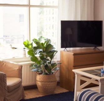 Naantali Apartment | Lillmåsen Naantali - atmospheric and very comfy studio