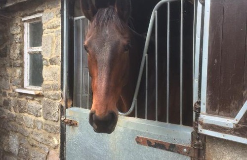 Blackthorn Bed & Breakfast | Lime Trees Farm