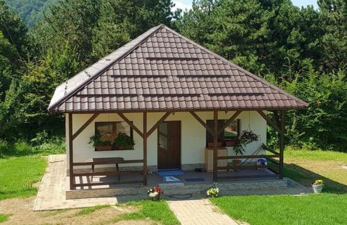 Baia Mare Apartment | Limpedea Green House