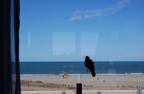 Mar de Las Pampas Apartment | Linda Bay Playa