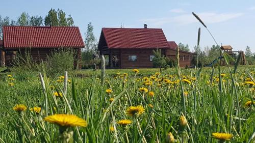 Salaspils House | Lindiki