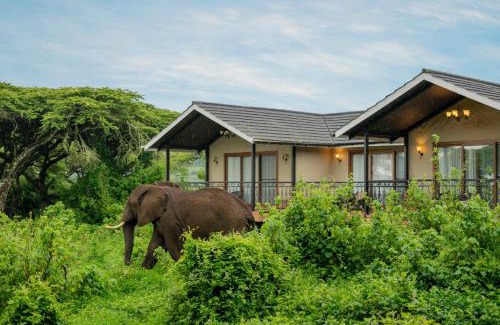 Ngorongoro Conservation Area Hotel | Lions Paw Ngorongoro