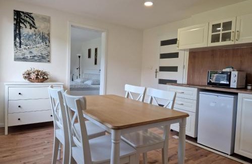 Lipova-Lazne Apartment | Lipovka