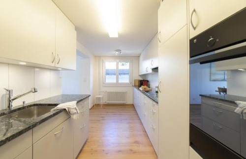 Wildhaus Apartment | Lisighaus