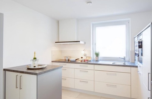 Schwaebisch Hall Apartment | Listed town house in the town park in Schwäbisch Hall with seating area in the garden