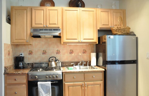 Upper Manhattan Apartment | Lita's - Spectacular Sun-filled Parlor 1 Bedroom Suite in Harlem Landmark Area