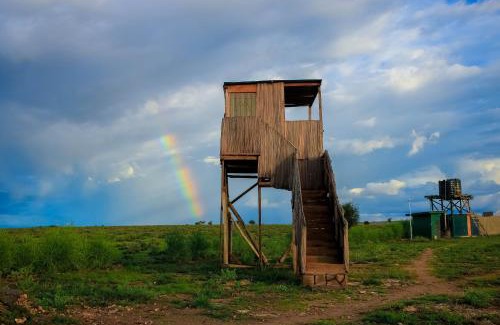 Amboseli Other | Little Amanya Camp