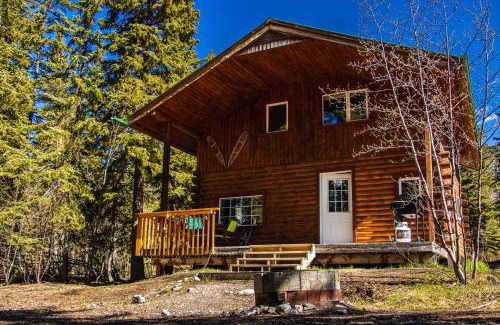 Tagish Cabin | Little Atlin Lodge