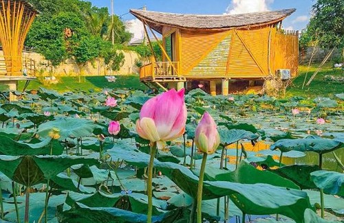 Quoc Oai Other | LITTLE BEE HOUSE