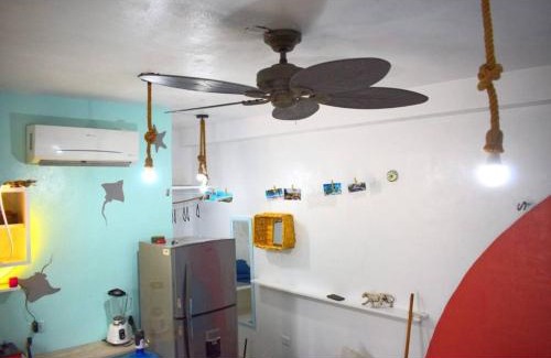 Colonia Independencia Apartment | Little Oasis Cozumel