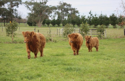 Drouin West House | Little Sherwood Drouin Petting Zoo & Cottages